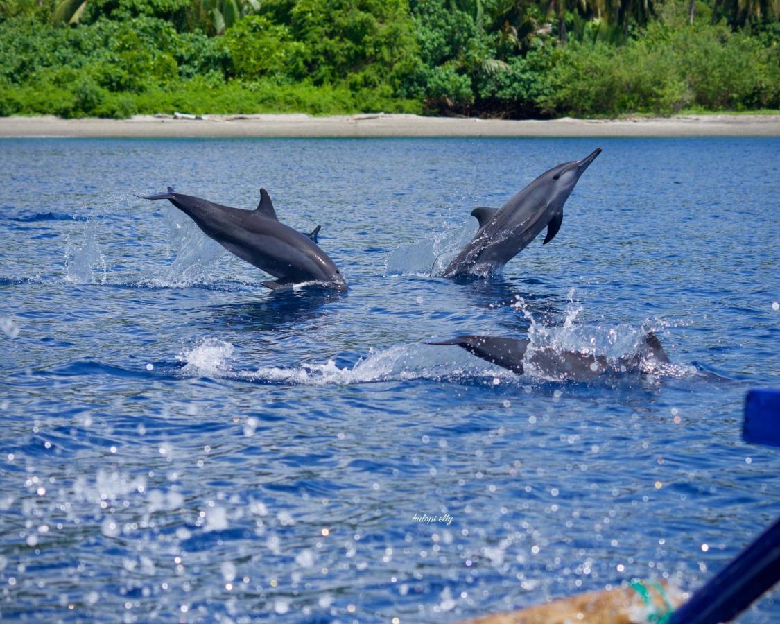 Araya Dive Resort Togean Bomba 外观 照片