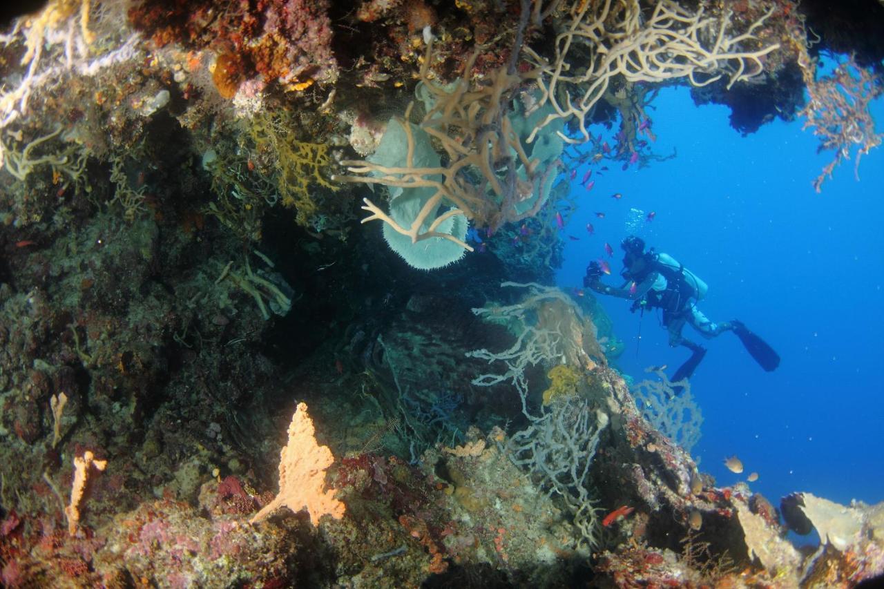 Araya Dive Resort Togean Bomba 外观 照片