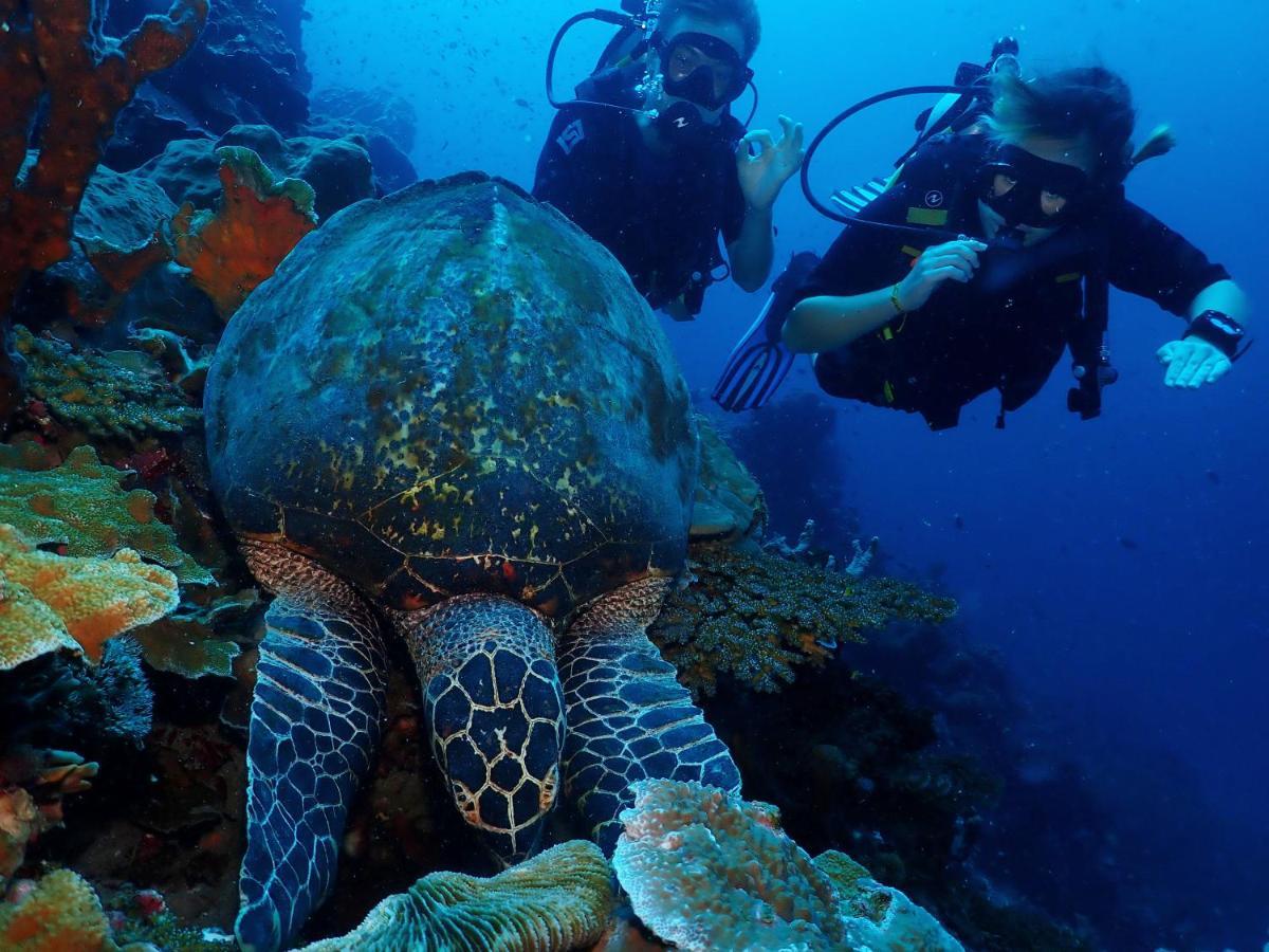 Araya Dive Resort Togean Bomba 外观 照片