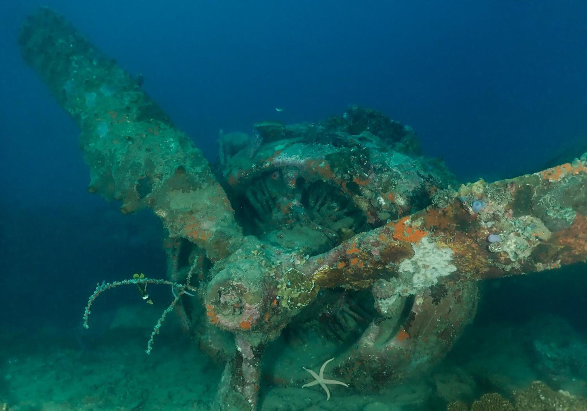 Araya Dive Resort Togean Bomba 外观 照片
